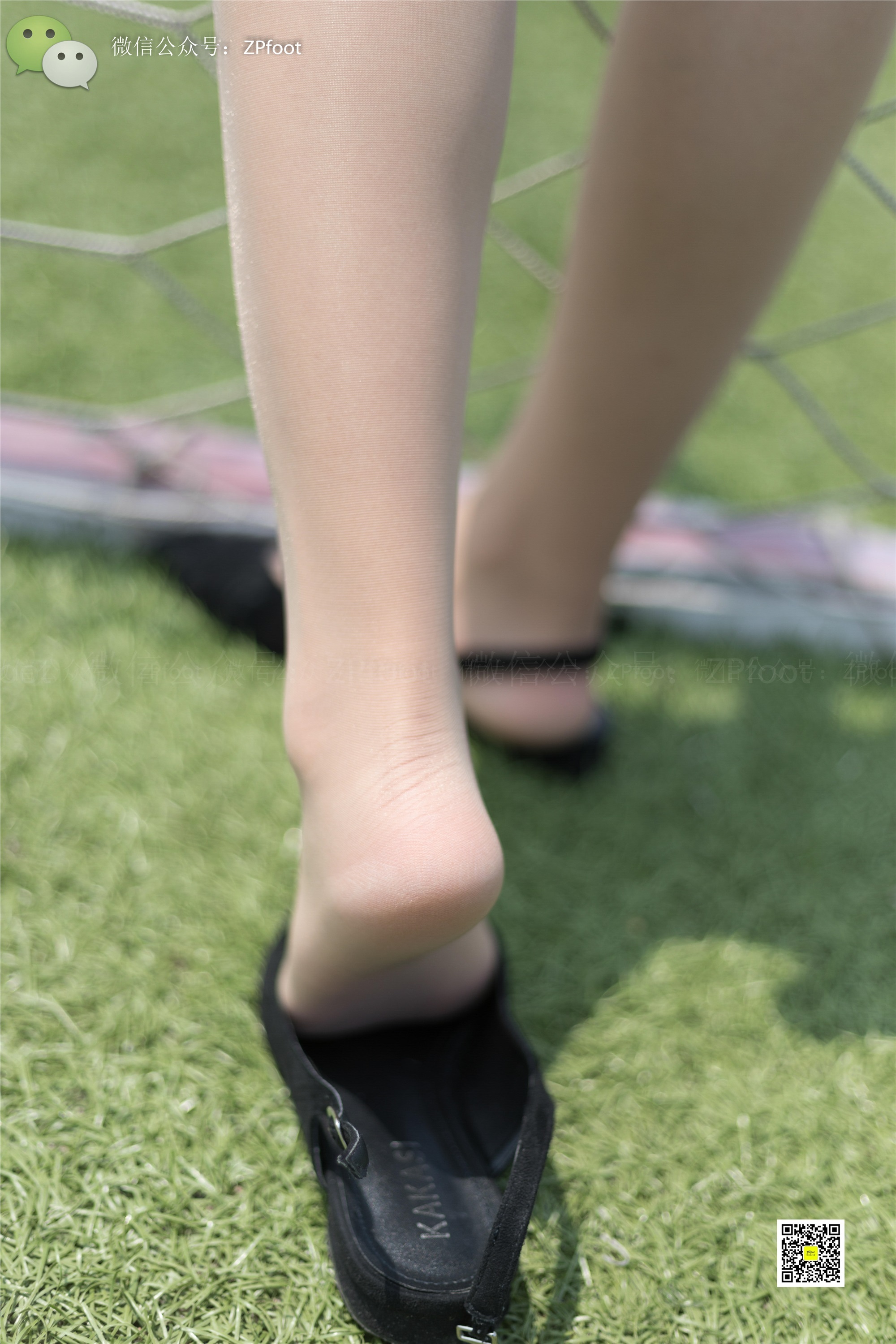 LSS山茶摄影 NO.006 大二操场